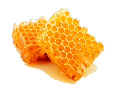 Honeycombs